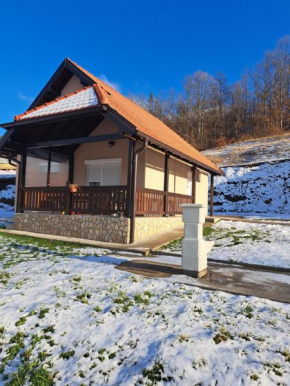 Mokrogorska kuca